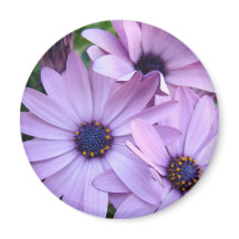 Gänseblümchen Blumen 1 Muttertagsgeschenke Karten