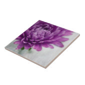 Gänseblümchen-Blumen-Keramikfliese in Lila und in Fliese (Seite)