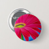 GÄNSEBLÜMCHEN-BLUMEN-KUNST - MULTI BUTTON (Vorne & Hinten)