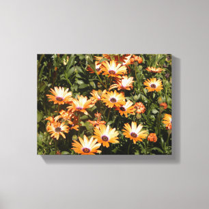 Gänseblümchen Blumen Leinwanddruck