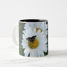 Gänseblümchen-Blumen-Tasse