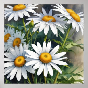 Gänseblümchen Blumenstrauß Elegante Wasserfarbe Poster