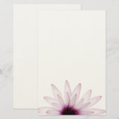 Gänseblümchen Briefpapier (Vorne/Hinten)