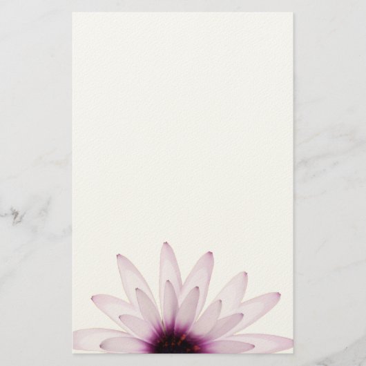 Gänseblümchen Briefpapier (Vorderseite)