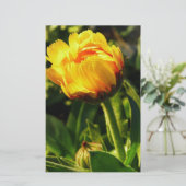 Gänseblümchen Briefpapier (Stehend Vorderseite)