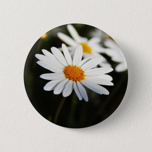 Gänseblümchen Button (Vorderseite)