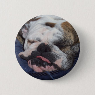 Gänseblümchen Button