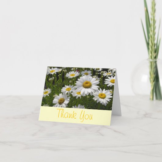 Gänseblümchen danken Ihnen Dankeskarte (Vorderseite)