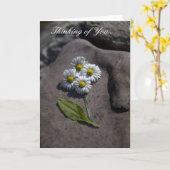 "Gänseblümchen", das an Sie. denkt. Karte (Gelbe Blume)