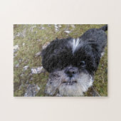 Gänseblümchen das Shih tzu Puzzlespiel für Puzzle (Horizontal)