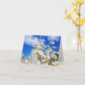 Gänseblümchen-Feld Karte (Gelbe Blume)