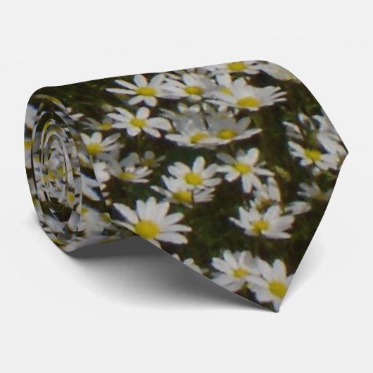Gänseblümchen-Feld-Krawatte Krawatte (Gerollt)