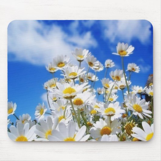 Gänseblümchen-Feld Mousepad (Vorne)
