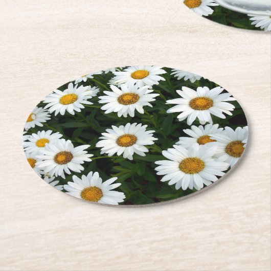 Gänseblümchen-Feld-Papier-Untersetzer Runder Pappuntersetzer (Angewinkelt)