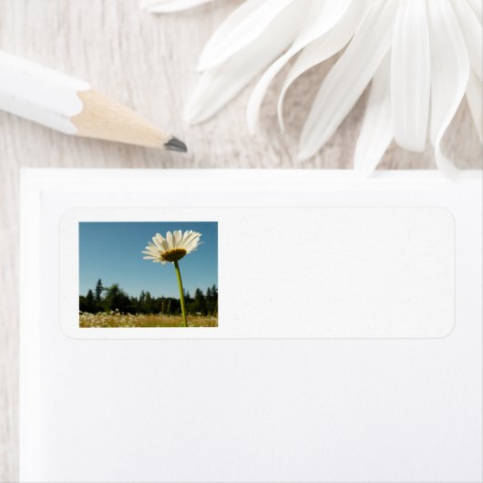 Gänseblümchen-Feld-Rücksendeadresse-Aufkleber (Insitu)