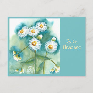 Gänseblümchen Fleabane Postkarte