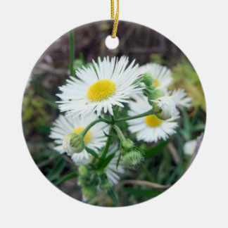 Gänseblümchen Fleabane runde Verzierung Keramikornament