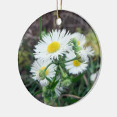 Gänseblümchen Fleabane runde Verzierung Keramikornament (Links)