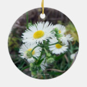 Gänseblümchen Fleabane runde Verzierung Keramikornament (Hinten)