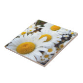 Gänseblümchen Fliese (Seite)