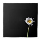 Gänseblümchen Fliese (Vorderseite)