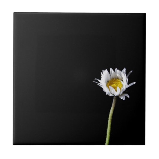 Gänseblümchen Fliese (Vorderseite)