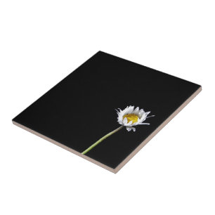 Gänseblümchen Fliese