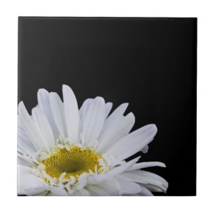 Gänseblümchen-Fliese Fliese