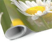 Gänseblümchen Foto-Geschenkpapier Geschenkpapier (Rolleneckpunkt)