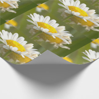Gänseblümchen Foto-Geschenkpapier Geschenkpapier