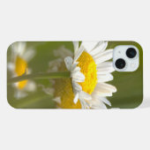 Gänseblümchen Foto iPhone Hülle (Rückseite (Horizontal))