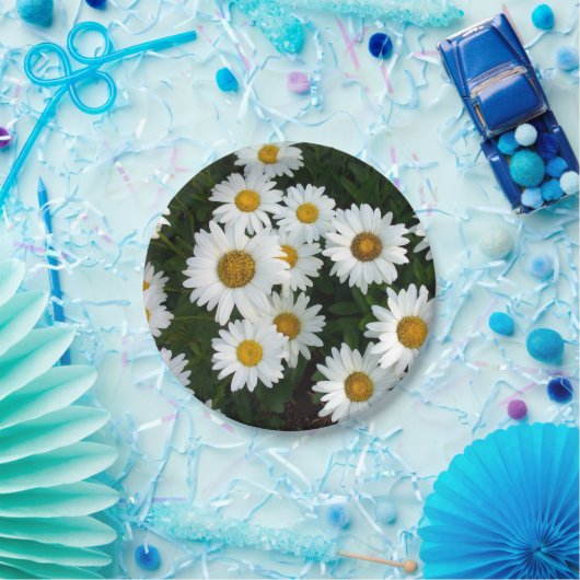 Gänseblümchen-Freuden-Papier-Teller Pappteller (Party)