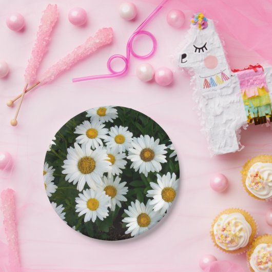 Gänseblümchen-Freuden-Papier-Teller Pappteller (Party)