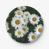 Gänseblümchen-Freuden-Papier-Teller Pappteller (Vorderseite)