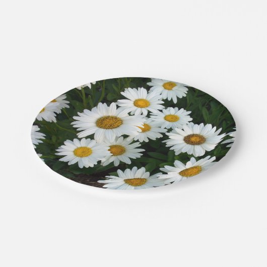 Gänseblümchen-Freuden-Papier-Teller Pappteller (Schrägansicht)