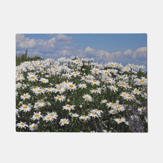 Gänseblümchen Fußmatte (Vorderseite)