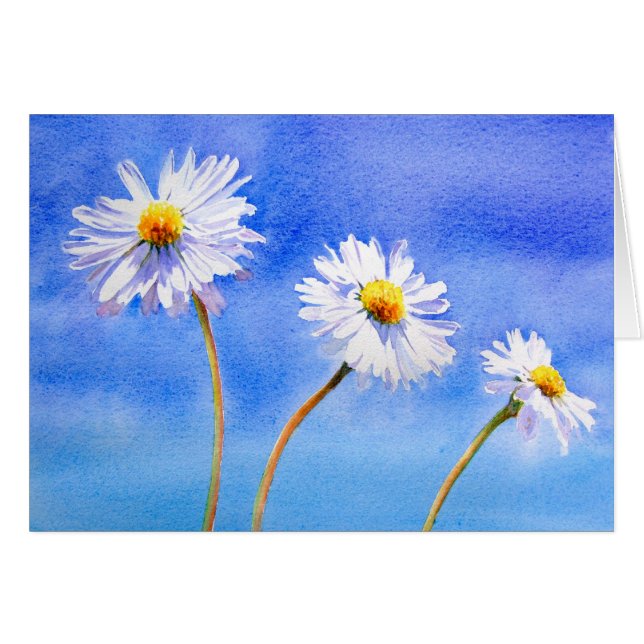 Gänseblümchen-Gänseblümchen (Vorderseite (Horizontal))