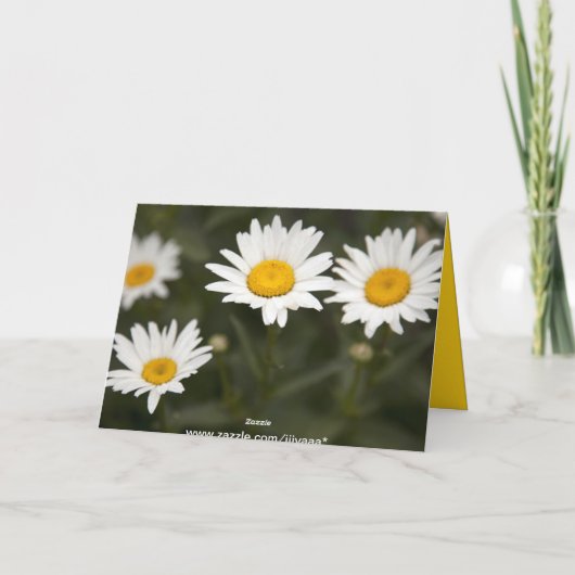 Gänseblümchen-Gänseblümchen Karte (Rückseite)