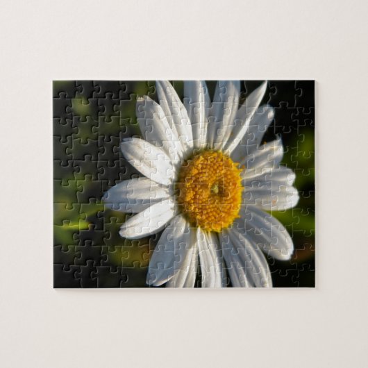 Gänseblümchen-Gesichts-Grün Puzzle (Horizontal)