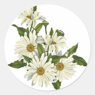 Gänseblümchen-Gruppe Runder Aufkleber
