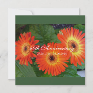 Gänseblümchen-Hochzeits-Jubiläumseinladungen Einladung