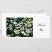 Gänseblümchen II - Danke (Vorne/Hinten)