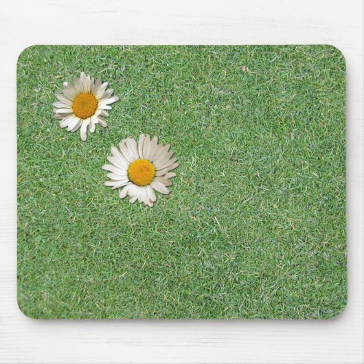 Gänseblümchen im Gras Mousepad (Vorne)