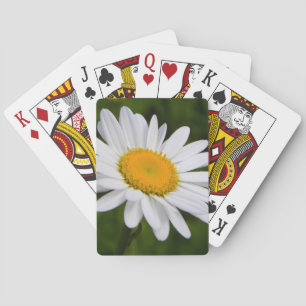 Gänseblümchen in der Blüte Spielkarten