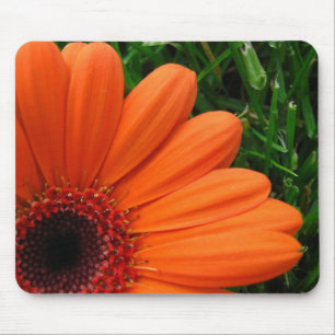Gänseblümchen in der Ecke Mousepad