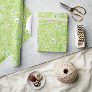 Gänseblümchen in weiß und grün auf honigmelonengrü geschenkpapier