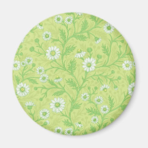 Gänseblümchen in weiß und grün auf honigmelonengrü magnet