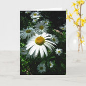 Gänseblümchen Karte (Gelbe Blume)