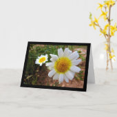 Gänseblümchen Karte (Gelbe Blume)