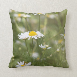 Gänseblümchen Kissen